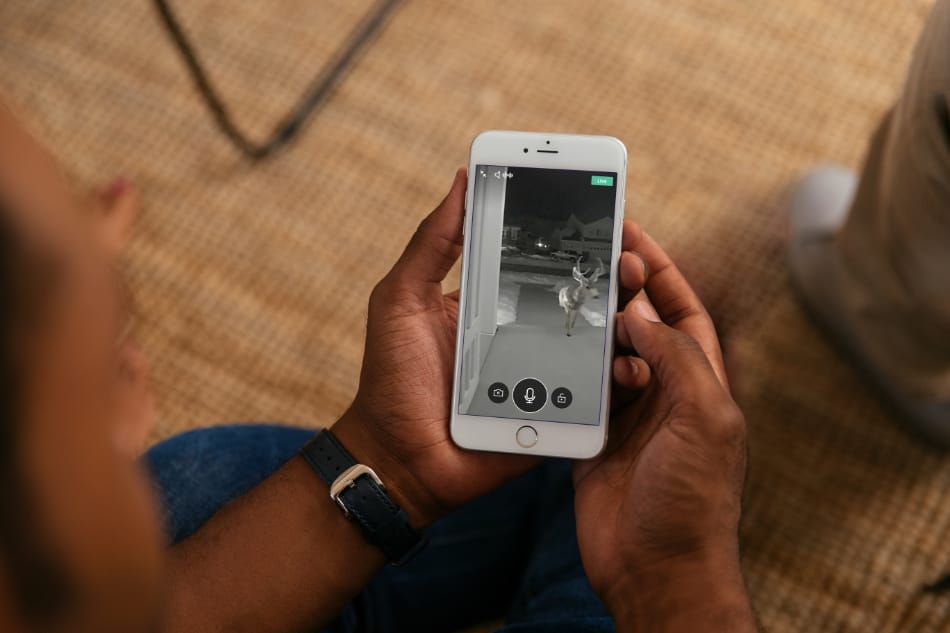 Austinville AL security system